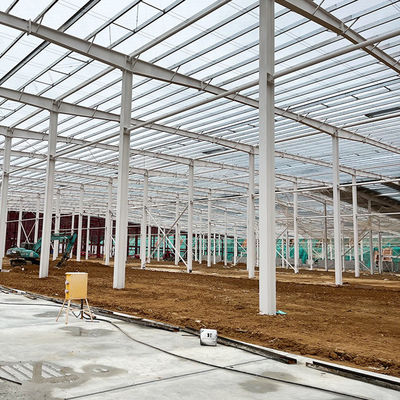 Bâtiment d'entrepôt en acier préfabriqué facile à installer par source avec structure et installation de porte en acier